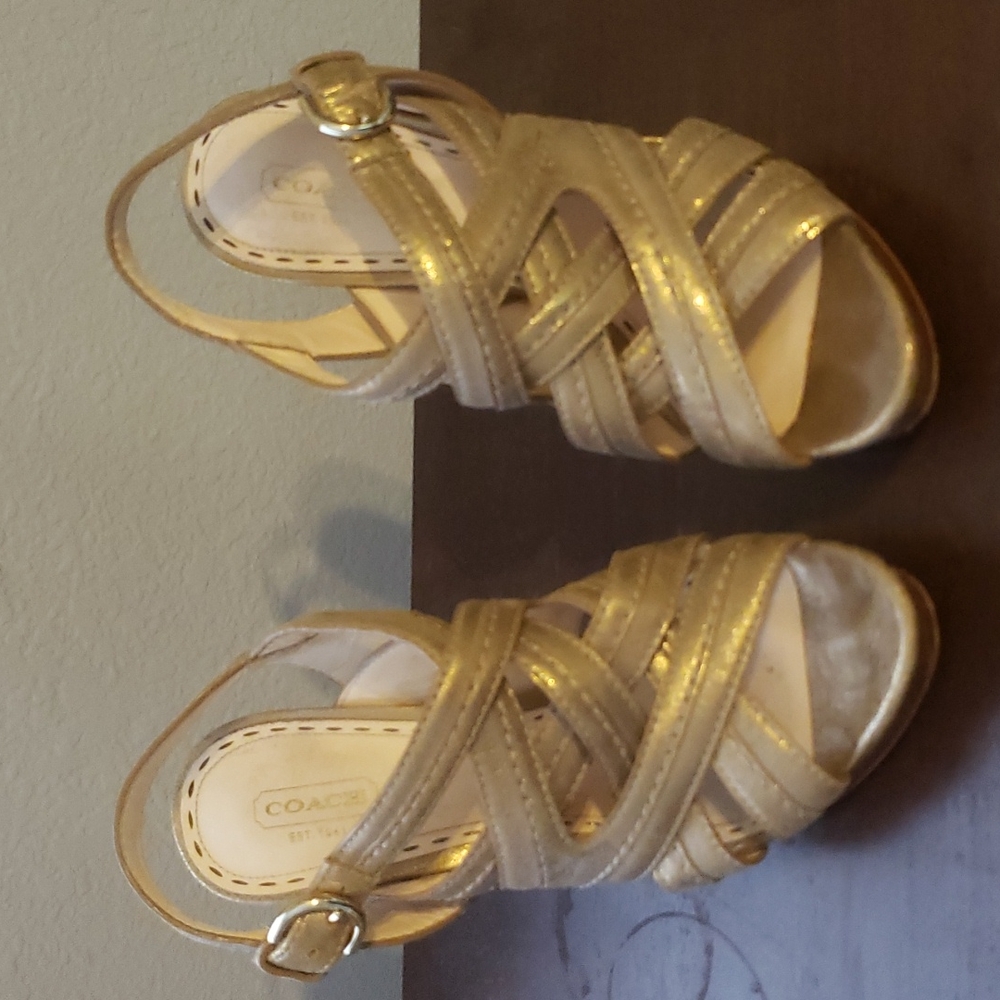 Coach Brynne Leather Strappy Sandal Chunky Heels
